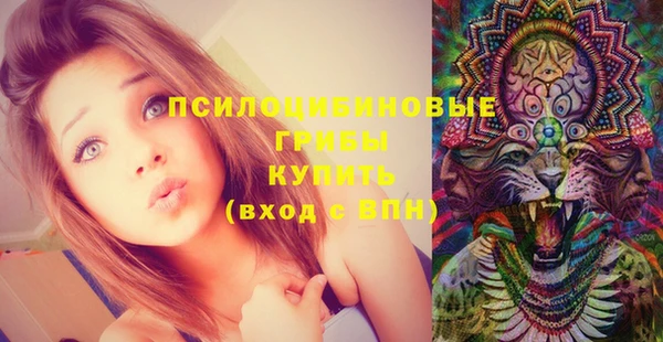 спиды Алексеевка